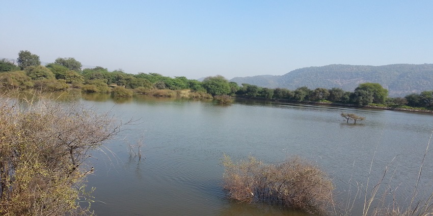 Sariska National Park offers wildlife, trekking, rock climbing, and scenic camping.