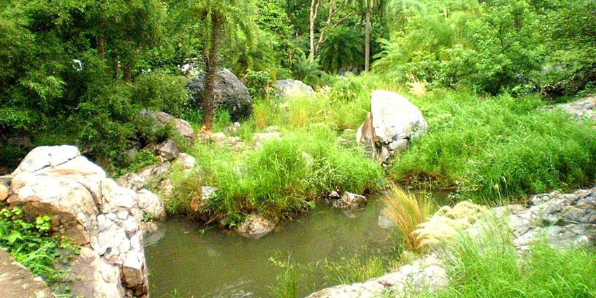 Snapshot of the beautiful Sariska Tiger Reserve and its lush beautiful flora and fauna in Jingle safari in Rajasthan