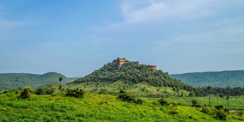 The Sariska Reserve, a wildlife sanctuary, is a must-visit place for all wildlife lovers.