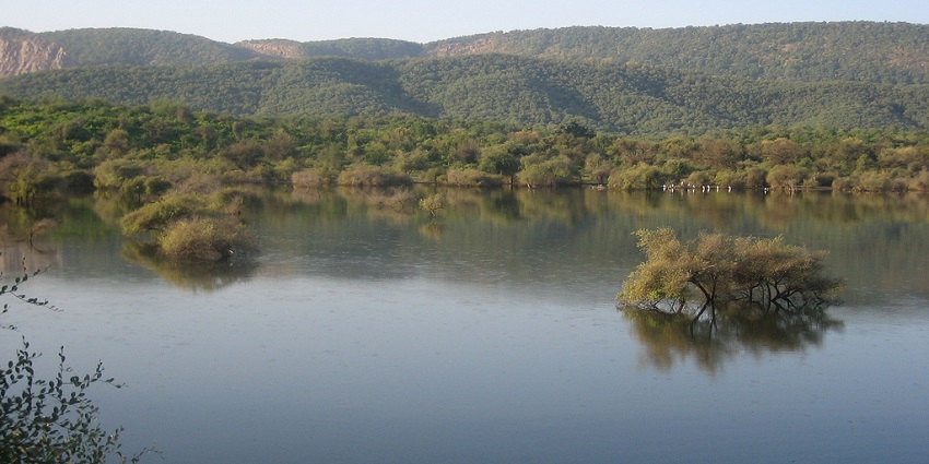 Sariska Tiger Reserve camping in Alwar offers wildlife encounters and serene nature activities.
