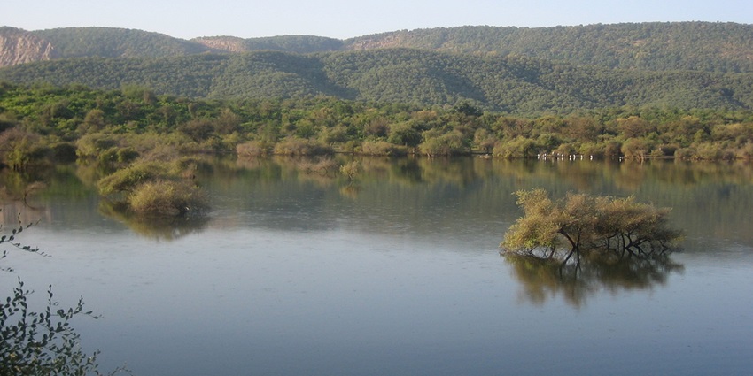 Image of a serene water body in Sariska Tiger Reserve surrounded with greenery