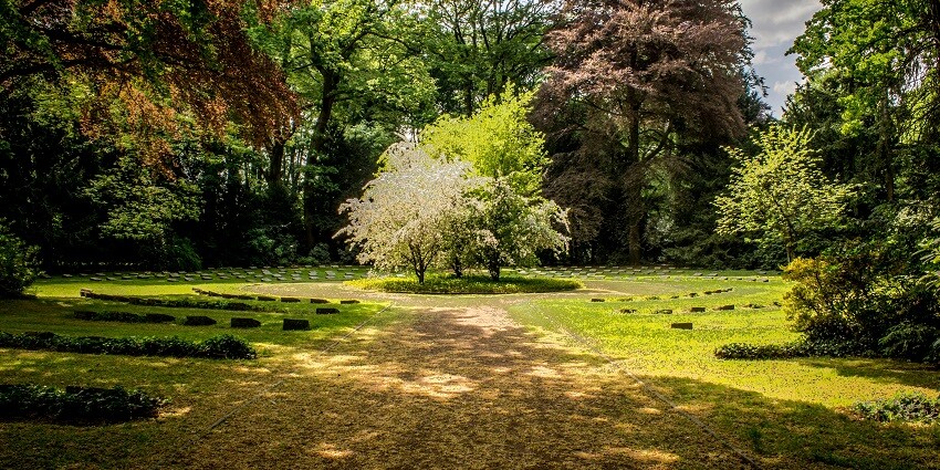 A glimpse of the Sarita Udyan featuring lush green sprawling lawns and swaying trees.