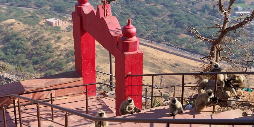 The stairs of the Savitri Temple, through which visitors trek to reach the temple.