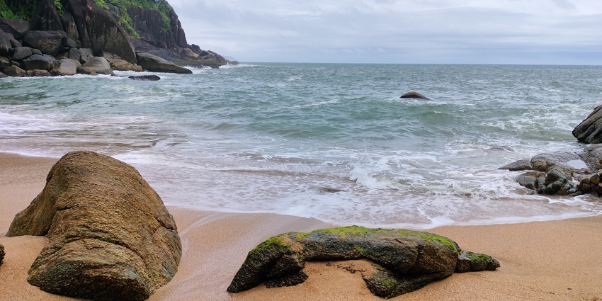 A secluded beach with crystal-clear waters, vibrant butterflies, and lush greenery, one of the best things to do in South Goa with family.