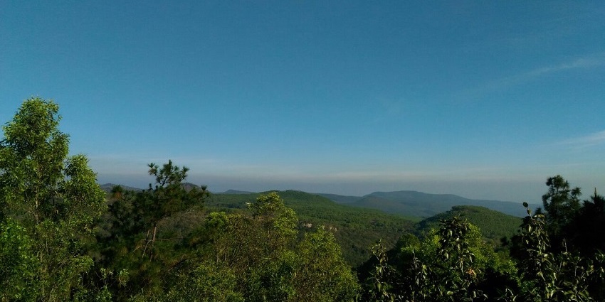 Scenic view of Tirumala hills in Andhra Pradesh, known for their spiritual significance and natural beauty.