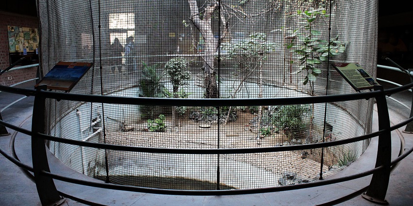 Science Center Vadodara offers interactive exhibits and workshops for scientific exploration.