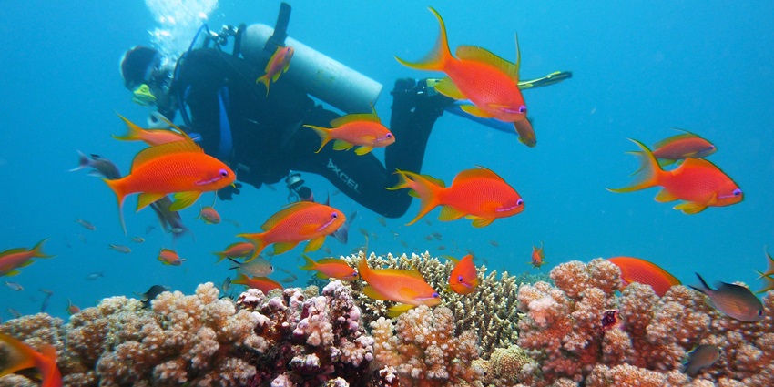 Scuba Diving is one of the most popular Palolem Beach water sports among visitors.