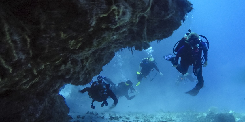 Scuba diving is vibrant coloured coral reefs through which meander colourful fish.