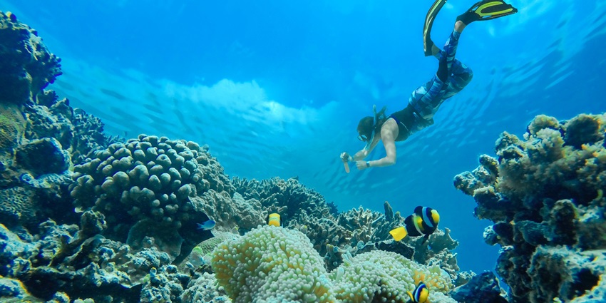 Image of a women underwater, scubadiving surrounded by coral reefs