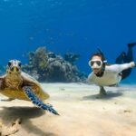 An image of a turtle and a woman, scuba diving in the turquoise waters of Maldives.