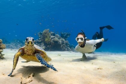 An image of a turtle and a woman, scuba diving in the turquoise waters of Maldives.