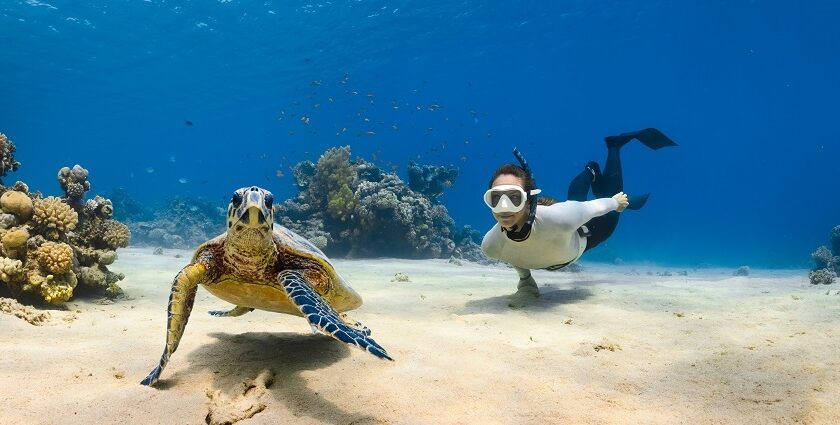 An image of a turtle and a woman, scuba diving in the turquoise waters of Maldives.