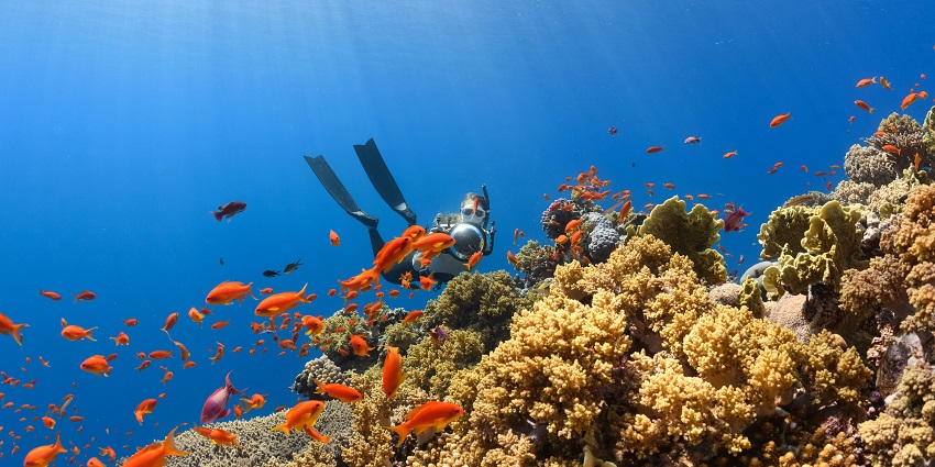 Scuba Goa is one of the most popular and preferred centres for scuba diving in Calangute.