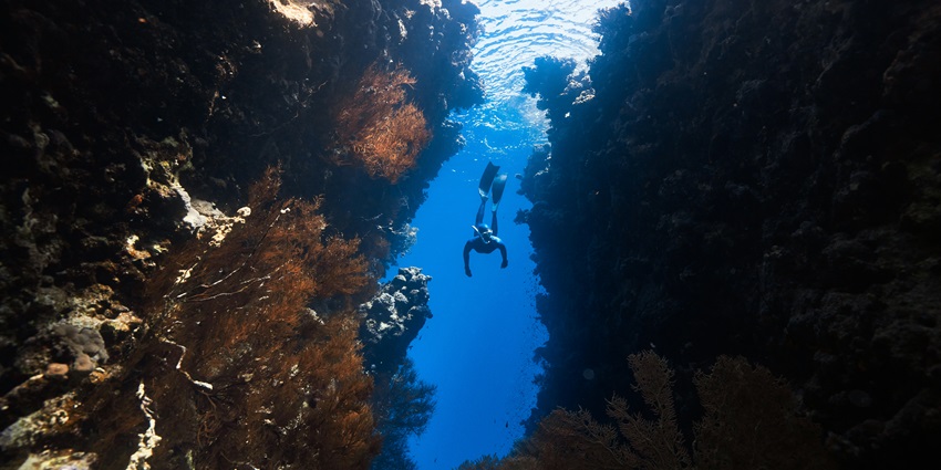 Scuba diving is one of the best water sports in Pattaya for every traveller to experience.