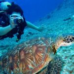 A breathtaking view of a sea turtle in front of a scuba diver taking a photograph.