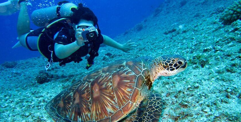 A breathtaking view of a sea turtle in front of a scuba diver taking a photograph.