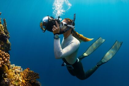 A mesmerising view of a school of orange fish swimming underwater with a scuba diver.