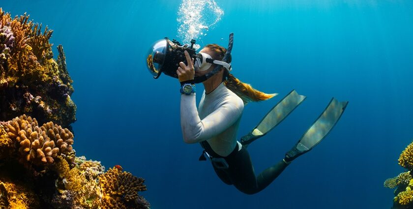 A mesmerising view of a school of orange fish swimming underwater with a scuba diver.