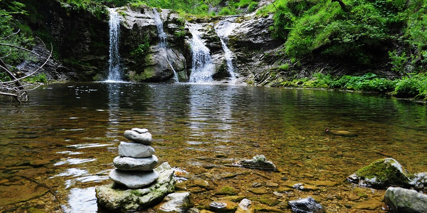 Image of serene body of water flanked by dense, lush green forest under a cloudy sky.