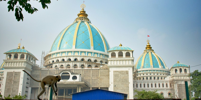 Seeking blessings at the ancient temples is one of the best things to do in Amarkantak.