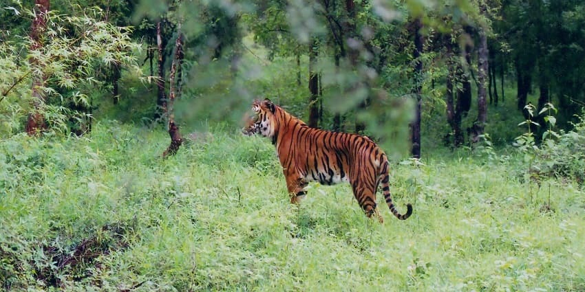 Semarsot Wildlife Sanctuary located in Semarsot Village, Chhattisgarh