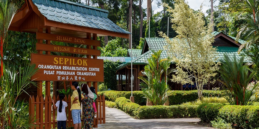 Sepilok Orangutan Rehabilitation Centre in Sandakan, Sabah with a wide range of wildlife.
