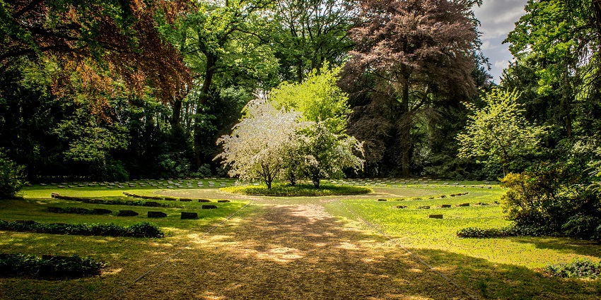 A picture of a garden near the Changey Waterfalls with trees and greenery all around