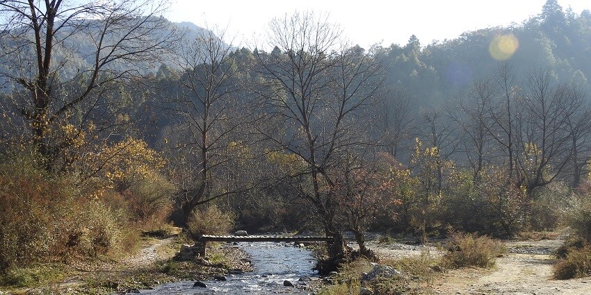Serene trek to Trevor’s Tank, ideal for birdwatching and biodiversity