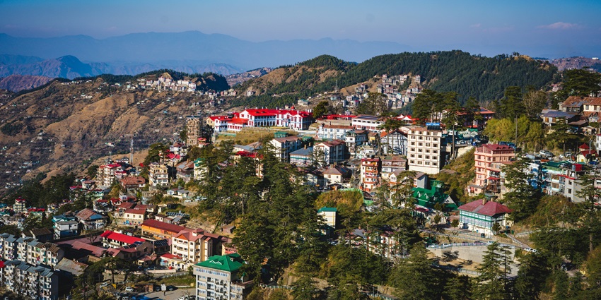 View of dense greenery in Shimla, featuring tall pine trees and lush vegetation