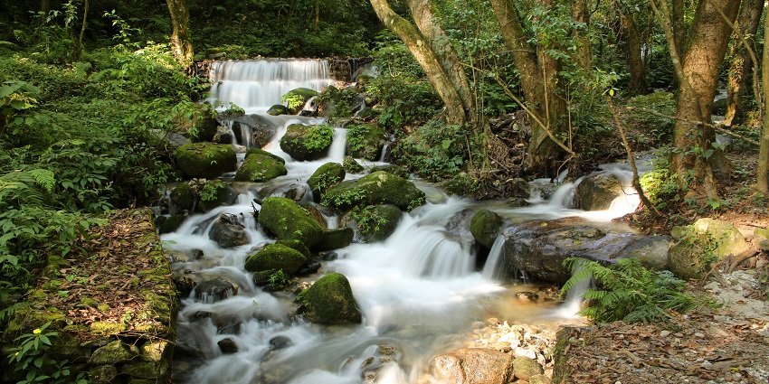 A scenic view of water flowing through rocks at Shivapuri Nagarjun National Park.