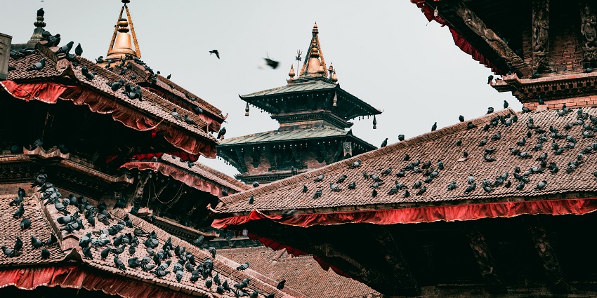 An image of a rooftop with birds at a site similar to Shrinathji Temple in Nathdwara.