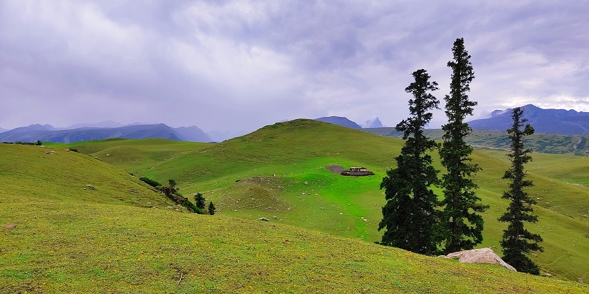Shuklaphanta Wildlife Reserve is one of the best wildlife sanctuaries in Nepal to explore.