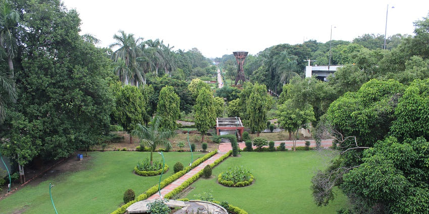 Top view of the beautiful garden nearby, ideal spot for nature lovers