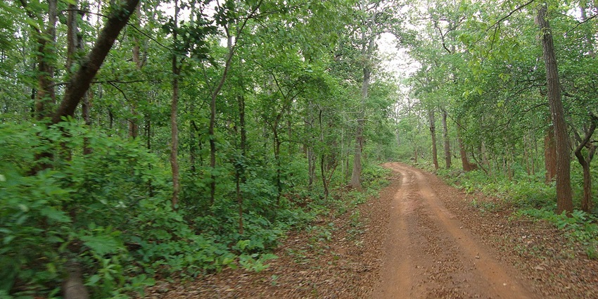 Simlipal Forest Range, popular near Mahadev Paani Waterfalls showcasing dense forests.