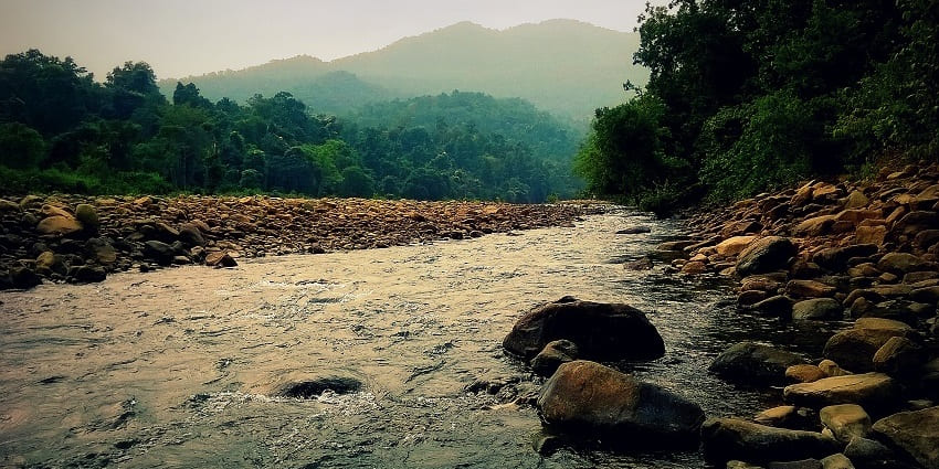 Similipal National Park is one of the most exciting places around Kichakeswari Temple.
