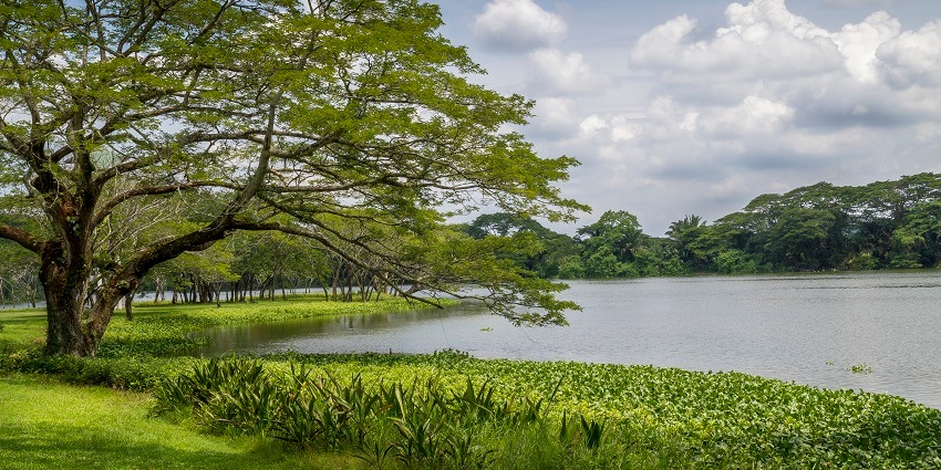 Picturesque view of a lake on a sunny day - one of the best picnic places near Vadodara