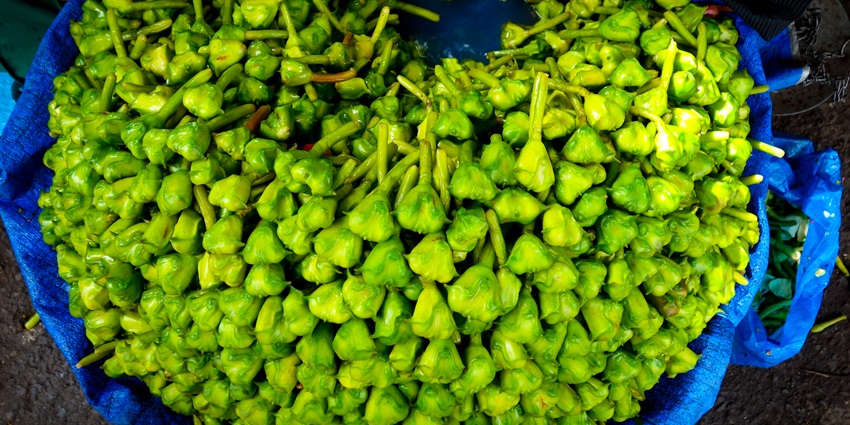 Image of the Water chestnut which is a water fruit which is very common food in bhubaneswar