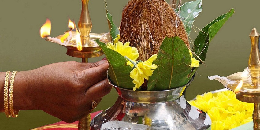 A stunning view of a silver utensil with a coconut in it, green leaves and a hand on side.
