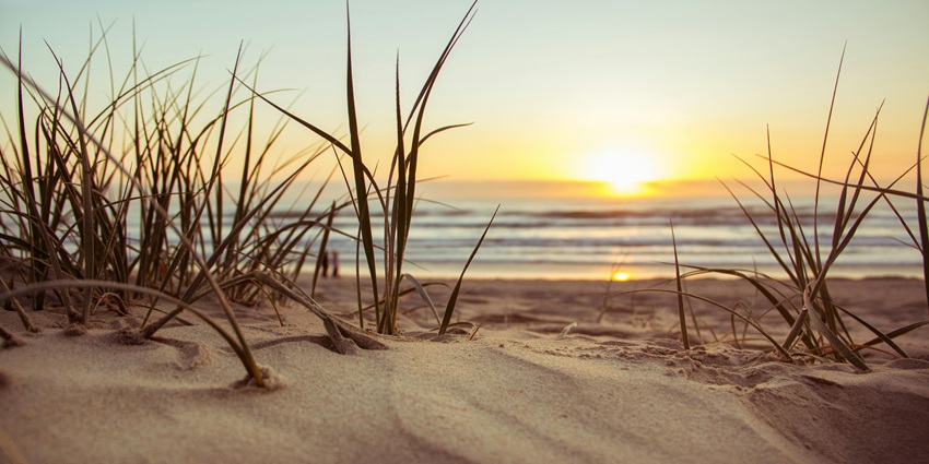 Sinquerim Beach is one of the quiet beaches in Goa, offering a refreshing escape.