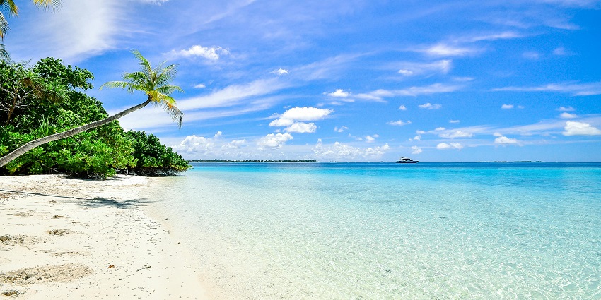A glimpse of the shimmering waters, golden sands, and clear blue skies at Sinquerim Beach.