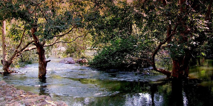 Scenic beauty of Sita Mata Sanctuary, Pratapgarh, nature's haven in Rajasthan