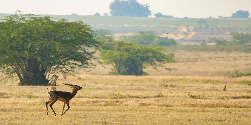 Sitanadi Sanctuary, one of the top places to visit near Aqua Water Park Rajnandgaon.