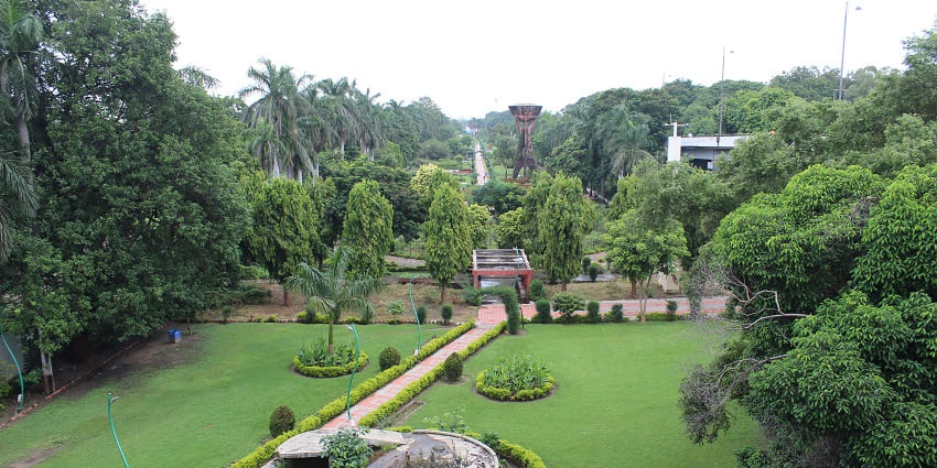 Image of a Botanical Garden with beautiful trees and plants showcasing lush greenery
