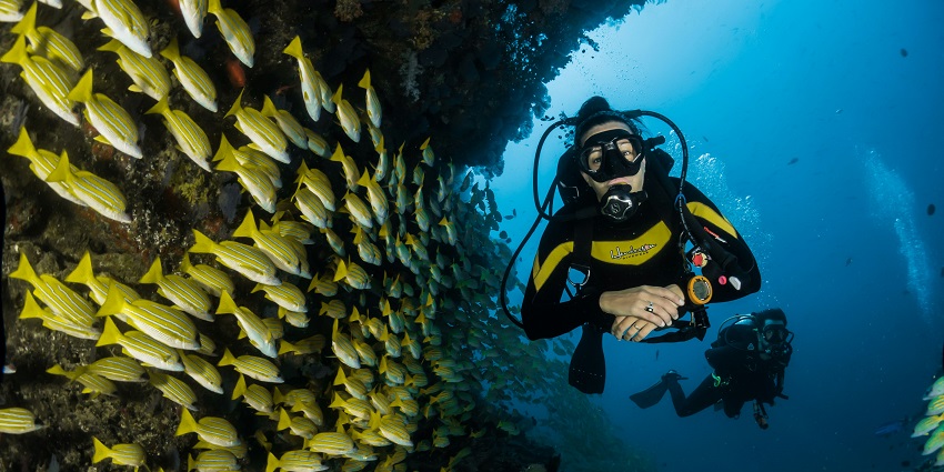 Two scuba divers exploring vibrant coral reefs underwater, surrounded by colorful marine life.