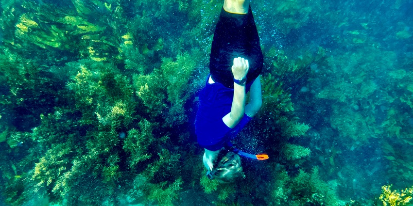 A mesmerising view of a person snorkelling under water with coral reefs all around.