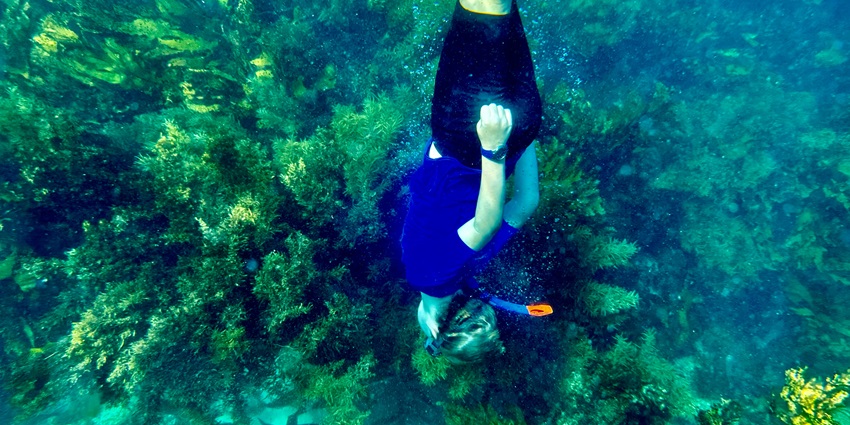 Snorkelling is an underwater activity to explore coral reefs, marine life, and clear blue waters.