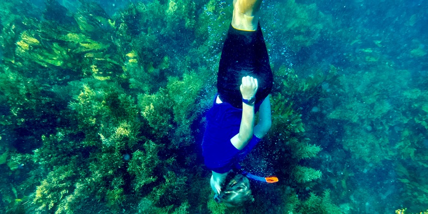 Snorkelling is one of the most exciting water sports in Pattaya for every tourist to try.