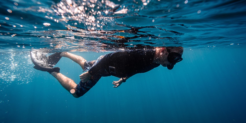 Go snorkelling in North Goa and get a closer look at the variety of underwater marine life