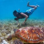 A breathtaking view of a person snorkelling underwater with a tortoise and coral reefs.