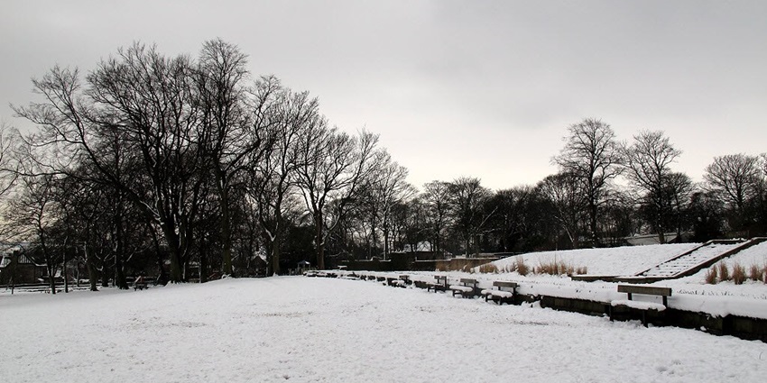 Scenic image of the beautiful snopw park covered with the artificial snow and fog